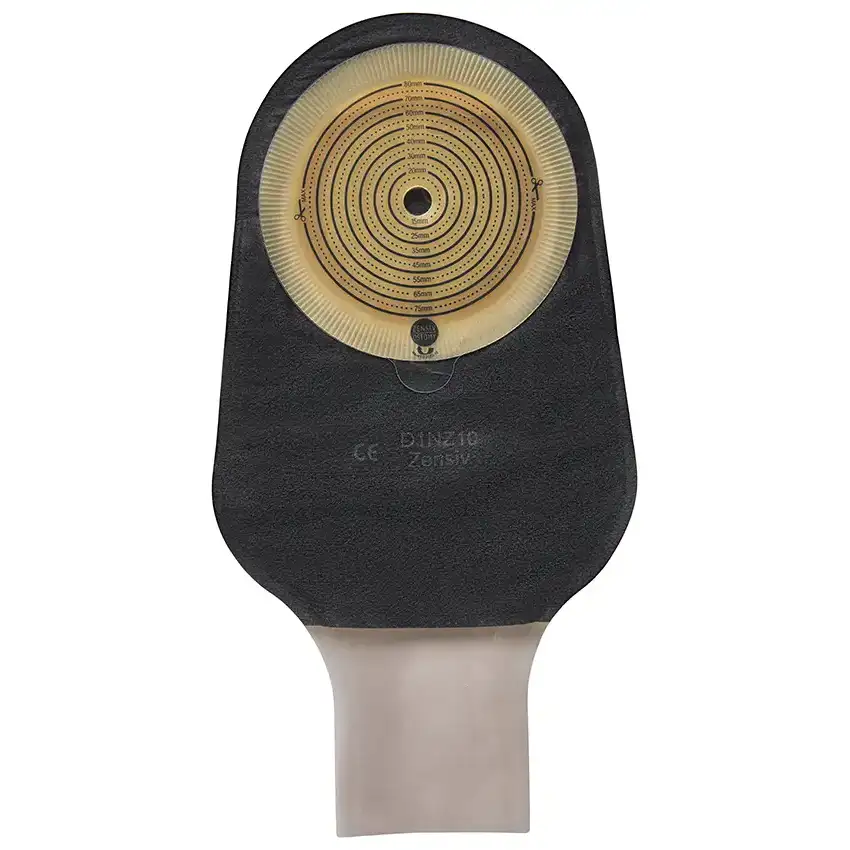 D1NZ10