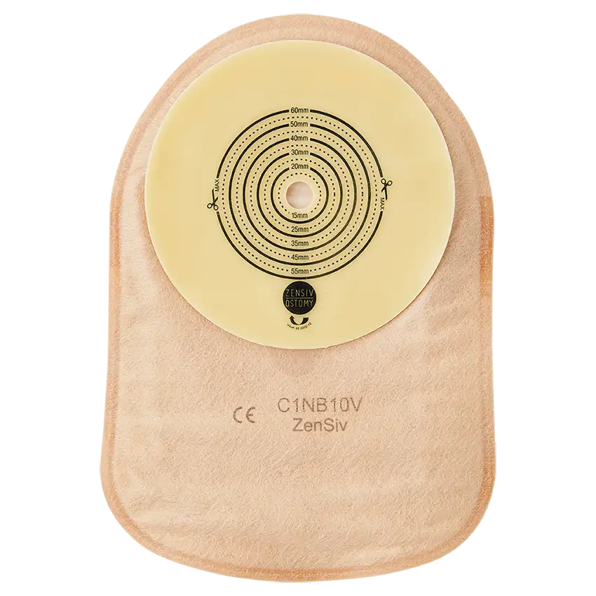 C1NB10V